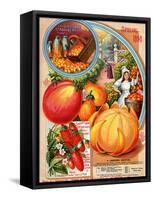 Salzer's Great Strawberry Tomato, Spring 1898-null-Framed Stretched Canvas