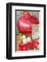 Salzer's Improved Red Onion-null-Framed Art Print