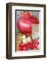 Salzer's Improved Red Onion-null-Framed Art Print