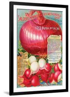 Salzer's Improved Red Onion-null-Framed Art Print