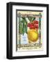 Salzer's Seeds La Crosse WI-null-Framed Art Print