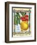 Salzer's Seeds La Crosse WI-null-Framed Art Print