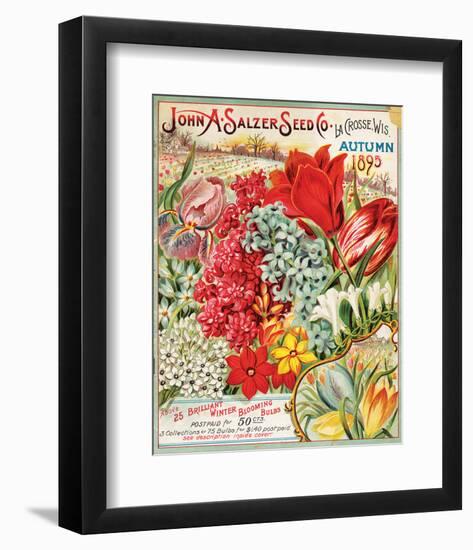 Salzer Seed Lacrosse WI Autumn-null-Framed Art Print