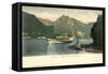 Salzkammergut Oberösterreich, Dampfer Sofie,Traunsee-null-Framed Stretched Canvas