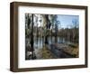 Sam Houston Jones State Park, Lake Charles, Louisiana, USA-Ethel Davies-Framed Photographic Print