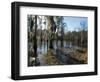 Sam Houston Jones State Park, Lake Charles, Louisiana, USA-Ethel Davies-Framed Photographic Print