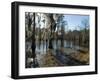 Sam Houston Jones State Park, Lake Charles, Louisiana, USA-Ethel Davies-Framed Photographic Print