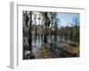 Sam Houston Jones State Park, Lake Charles, Louisiana, USA-Ethel Davies-Framed Photographic Print