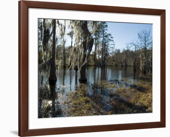 Sam Houston Jones State Park, Lake Charles, Louisiana, USA-Ethel Davies-Framed Photographic Print