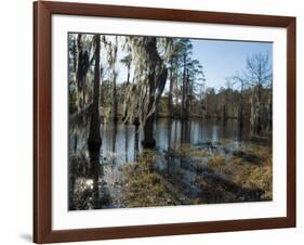 Sam Houston Jones State Park, Lake Charles, Louisiana, USA-Ethel Davies-Framed Photographic Print