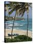 Sam Lords Castle, Palms and Beach, Barbados, West Indies, Caribbean, Central America-J Lightfoot-Stretched Canvas