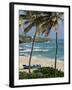 Sam Lords Castle, Palms and Beach, Barbados, West Indies, Caribbean, Central America-J Lightfoot-Framed Photographic Print