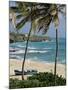 Sam Lords Castle, Palms and Beach, Barbados, West Indies, Caribbean, Central America-J Lightfoot-Mounted Photographic Print