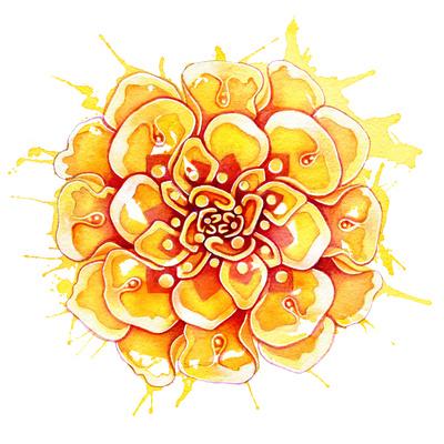 Marigold Mandala