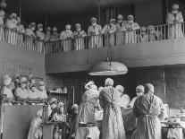 Fan Rooting for His Team in a Packed Stadium During Brooklyn Dodger Game at Ebbets-Sam Shere-Photographic Print