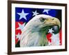 "Sam the American Eagle,"July 1, 1939-Arthur H. Fisher-Framed Giclee Print