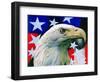 "Sam the American Eagle,"July 1, 1939-Arthur H. Fisher-Framed Giclee Print