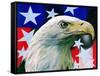 "Sam the American Eagle,"July 1, 1939-Arthur H. Fisher-Framed Stretched Canvas