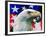 "Sam the American Eagle,"July 1, 1939-Arthur H. Fisher-Framed Giclee Print