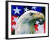 "Sam the American Eagle,"July 1, 1939-Arthur H. Fisher-Framed Giclee Print