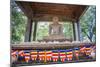 Samadhi Buddha Statue and Buddhist Flags-Matthew Williams-Ellis-Mounted Photographic Print