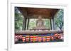 Samadhi Buddha Statue and Buddhist Flags-Matthew Williams-Ellis-Framed Photographic Print