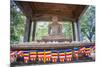 Samadhi Buddha Statue and Buddhist Flags-Matthew Williams-Ellis-Mounted Photographic Print