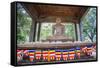 Samadhi Buddha Statue and Buddhist Flags-Matthew Williams-Ellis-Framed Stretched Canvas