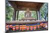 Samadhi Buddha Statue and Buddhist Flags-Matthew Williams-Ellis-Mounted Photographic Print