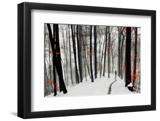 Premium Photographic Print, , large