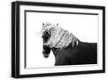 Black Frame