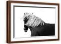 Brown Frame