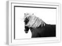 White Frame