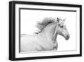 Black Frame