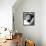 Samantha Eggar-null-Framed Stretched Canvas displayed on a wall