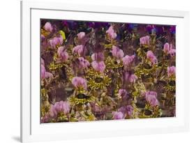 Samba Parade at Sambadrome During Carnival, Rio de Janeiro, Brazil-Keren Su-Framed Photographic Print