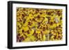 Samba Parade at Sambadrome During Carnival, Rio de Janeiro, Brazil-Keren Su-Framed Photographic Print