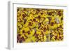 Samba Parade at Sambadrome During Carnival, Rio de Janeiro, Brazil-Keren Su-Framed Photographic Print