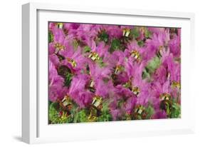 Samba Parade at Sambadrome During Carnival, Rio de Janeiro, Brazil-Keren Su-Framed Photographic Print