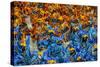 Samba Parade at the Carnival in Rio De Janeiro, Brazil, South America-Michael Runkel-Stretched Canvas