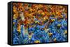 Samba Parade at the Carnival in Rio De Janeiro, Brazil, South America-Michael Runkel-Framed Stretched Canvas