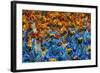 Samba Parade at the Carnival in Rio De Janeiro, Brazil, South America-Michael Runkel-Framed Photographic Print