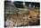 Samba Parade at the Carnival in Rio De Janeiro, Brazil, South America-Michael Runkel-Stretched Canvas