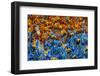 Samba Parade at the Carnival in Rio De Janeiro, Brazil, South America-Michael Runkel-Framed Photographic Print