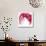 Samba Tulip Bloom-Miranda York-Stretched Canvas displayed on a wall