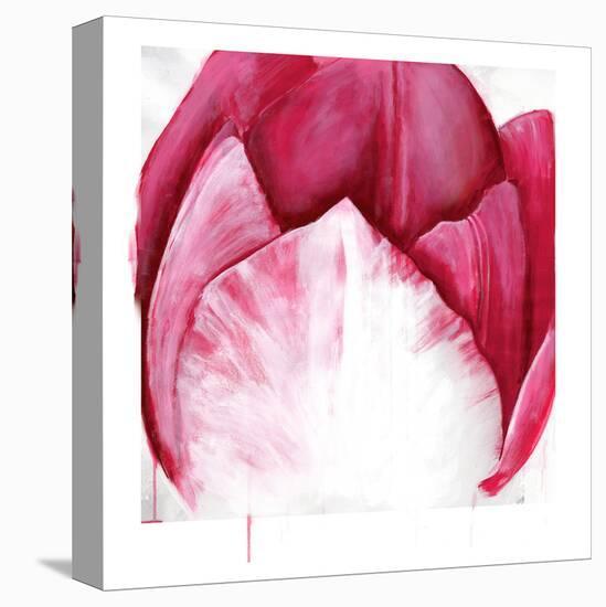 Samba Tulip Bloom-Miranda York-Stretched Canvas