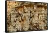 Sambor Prei Kuk, South Group Temples, Pre-Angkorian Period-Nathalie Cuvelier-Framed Stretched Canvas