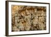 Sambor Prei Kuk, South Group Temples, Pre-Angkorian Period-Nathalie Cuvelier-Framed Photographic Print