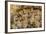 Sambor Prei Kuk, South Group Temples, Pre-Angkorian Period-Nathalie Cuvelier-Framed Photographic Print