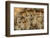 Sambor Prei Kuk, South Group Temples, Pre-Angkorian Period-Nathalie Cuvelier-Framed Photographic Print